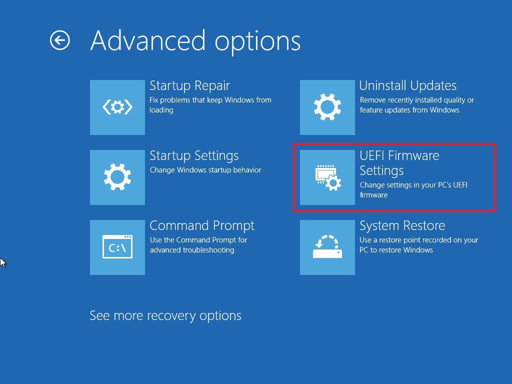 Advanced settings UEFI option