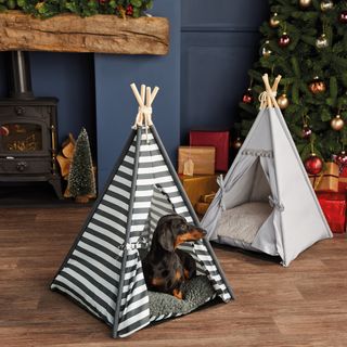 Aldi Pet Teepee