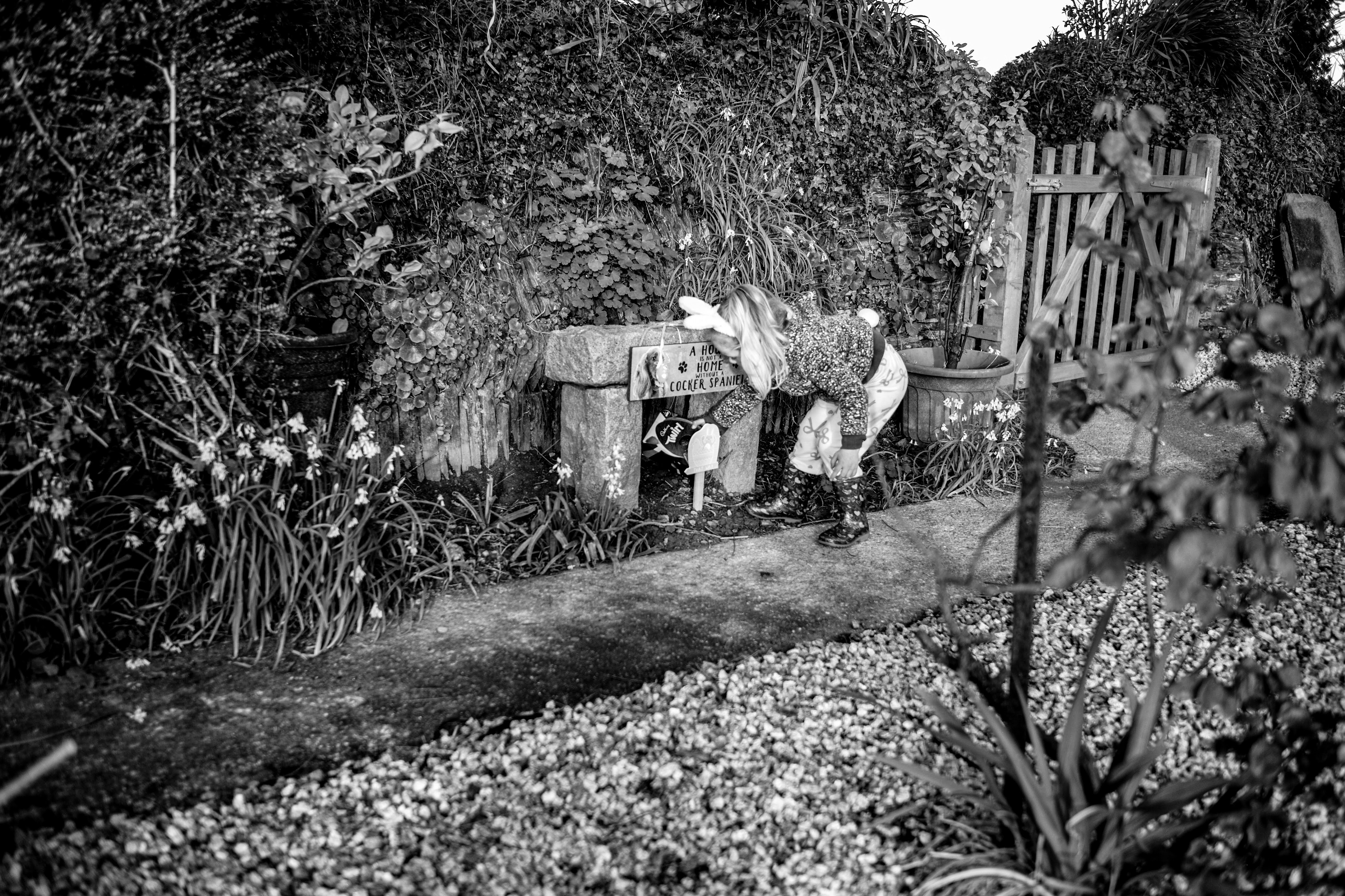 Leica 35mm Summarit-M f/2.5 samples