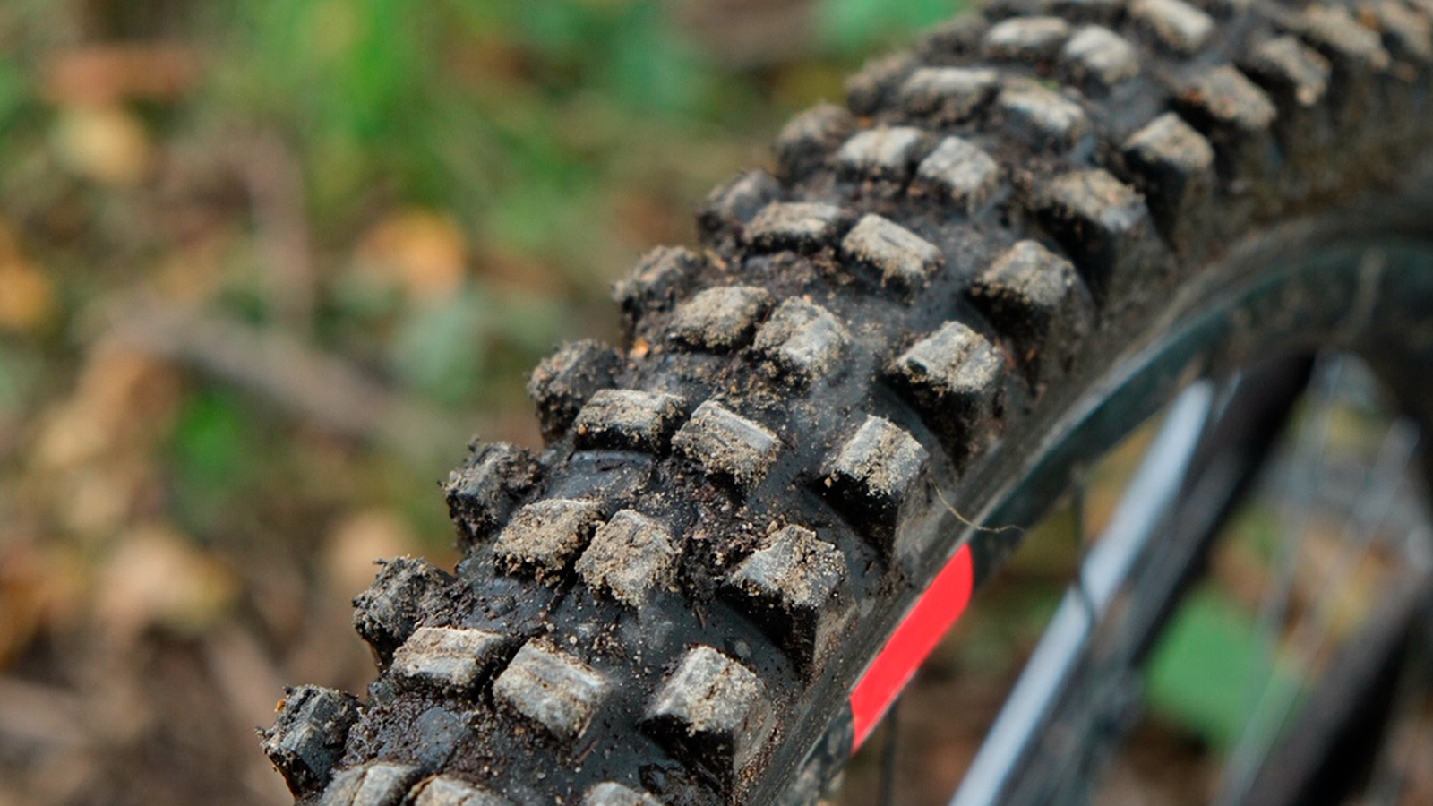 Um close do pneu traseiro WTB Judge montado em uma roda de MTB