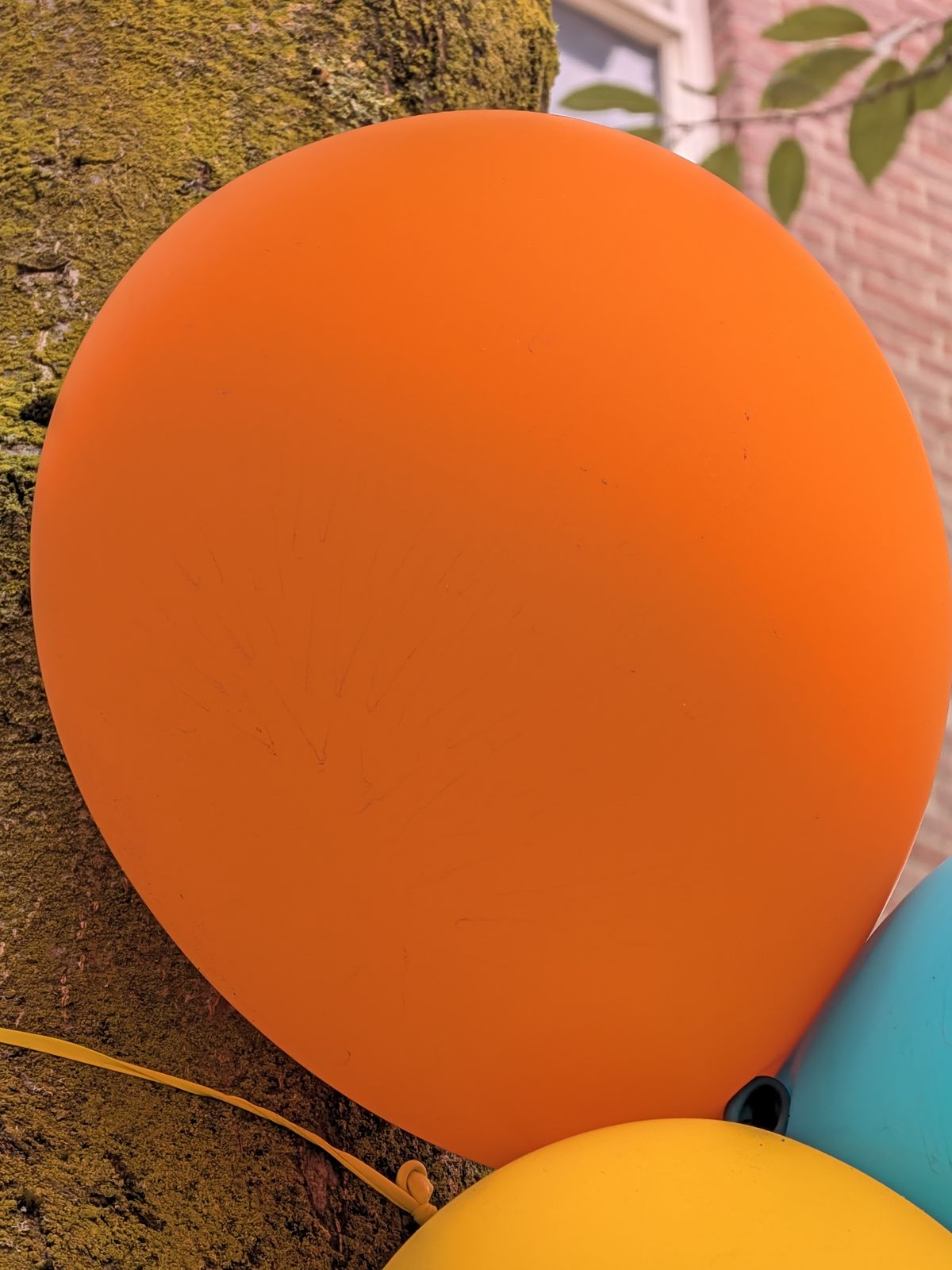 Google Pixel 11 voorbeeldfoto