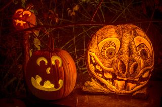 80 Pumpkin Carving Ideas for 2023