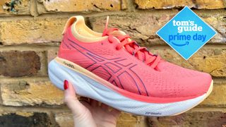 Image of Asics Gel Nimbus 25 in pink against brick wall