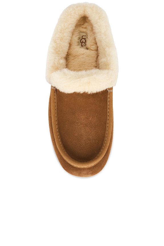 Ansley Mule