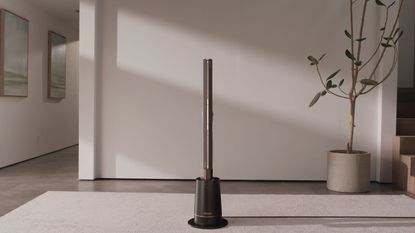 Shark TurboBlade fan in vertical position in neutral room atop white rug, in front of white-gray wall, large potted indoor tree, and hallway with two framed pictures.