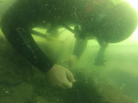 Wreck of 16th-Century Spanish Ship Found Off Florida Coast | Live Science