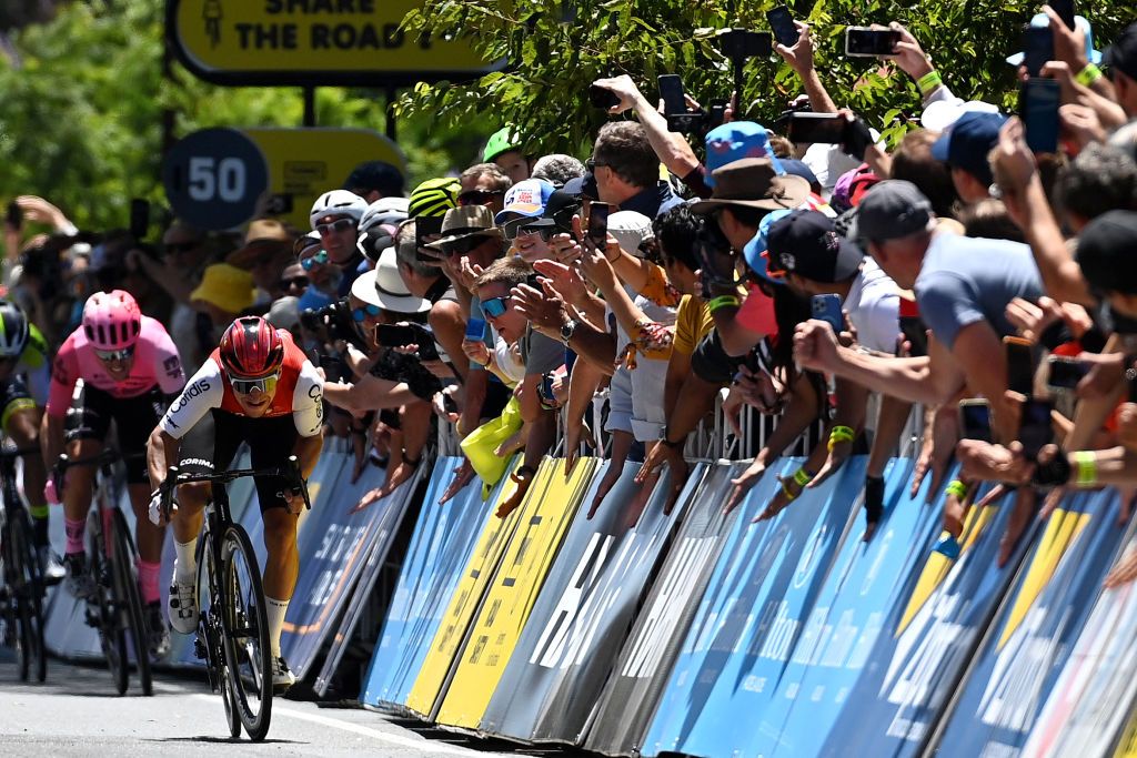 Bryan Coquard (Cofidis) sprints along the barriers at the Tour Down Under