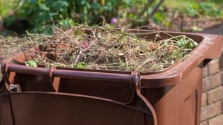 picture of a garden waste bin