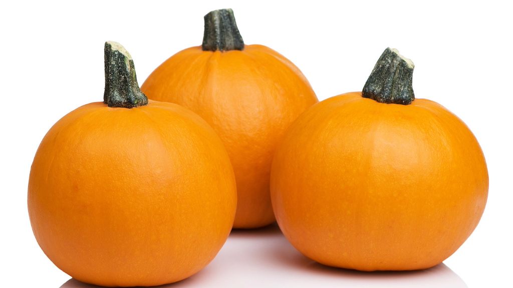 close up of three sugar pie pumpkins 