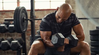 A man performing concentration curls with dumbbells in the gym