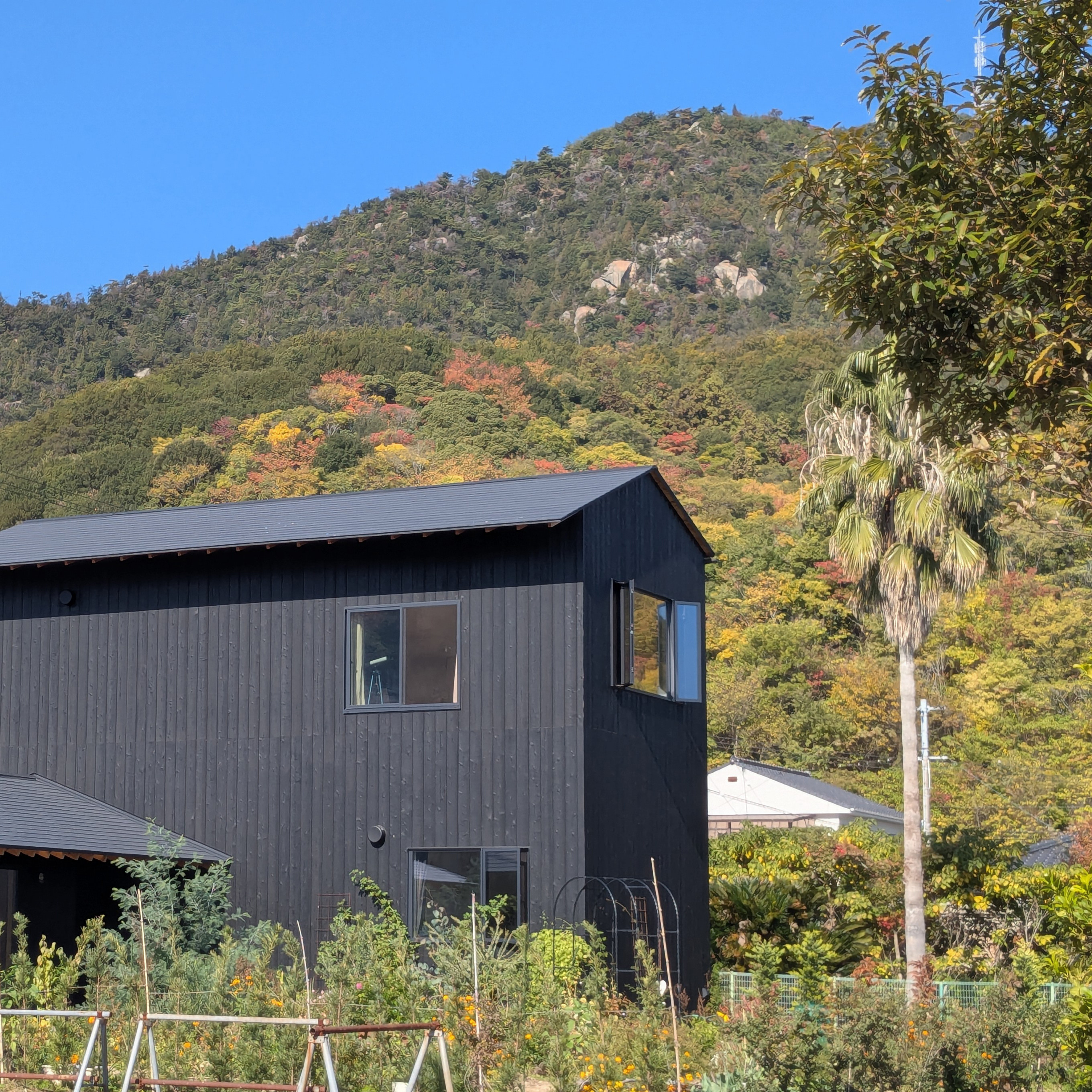 On a recent site visit the architects captured the garden maturing