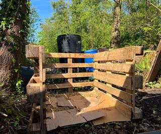 Using cardboard in a pallet compost bin