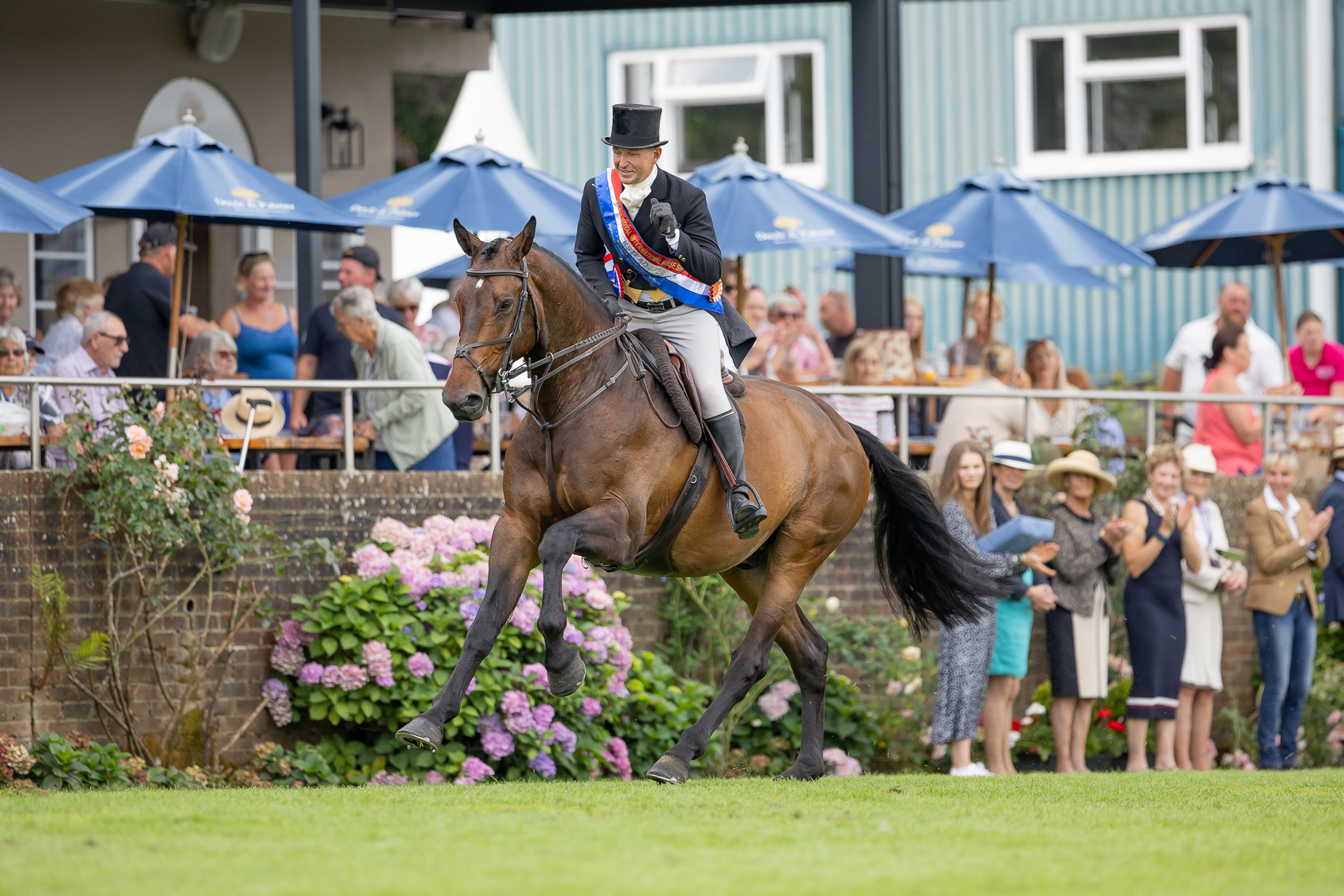 Adam Taylor wears a championship sash abpard bay working hunter Looughview Verdis Dream as the pair canter around the international arena at the 2026 Royal International Horse Show
