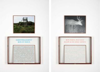 Artworks by Calle, each pairing an image of a watchtower or animal with the text of lonely hearts ads from a specific decade, corresponding to overarching themes identified by the artist.
