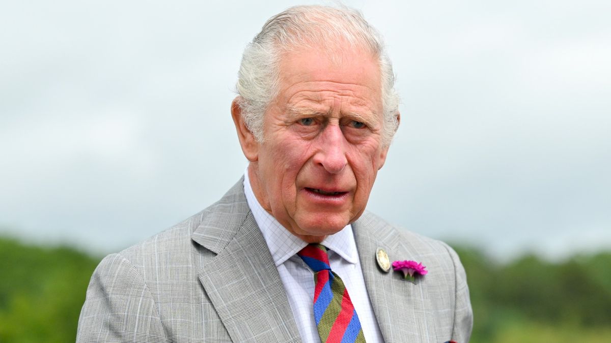 Prince Charles accidentally reveals he's watched Netflix's The Crown