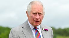 Prince Charles accidentally revealed he's watched Netflix's The Crown and is 'nowhere near' his counterpart in the show