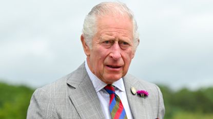 Prince Charles gets sneak peek at Hay Castle, seen here during a visit to the National Botanic Garden of Wales