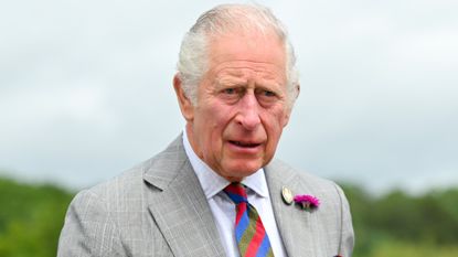 Prince Charles accidentally revealed he's watched Netflix's The Crown and is 'nowhere near' his counterpart in the show