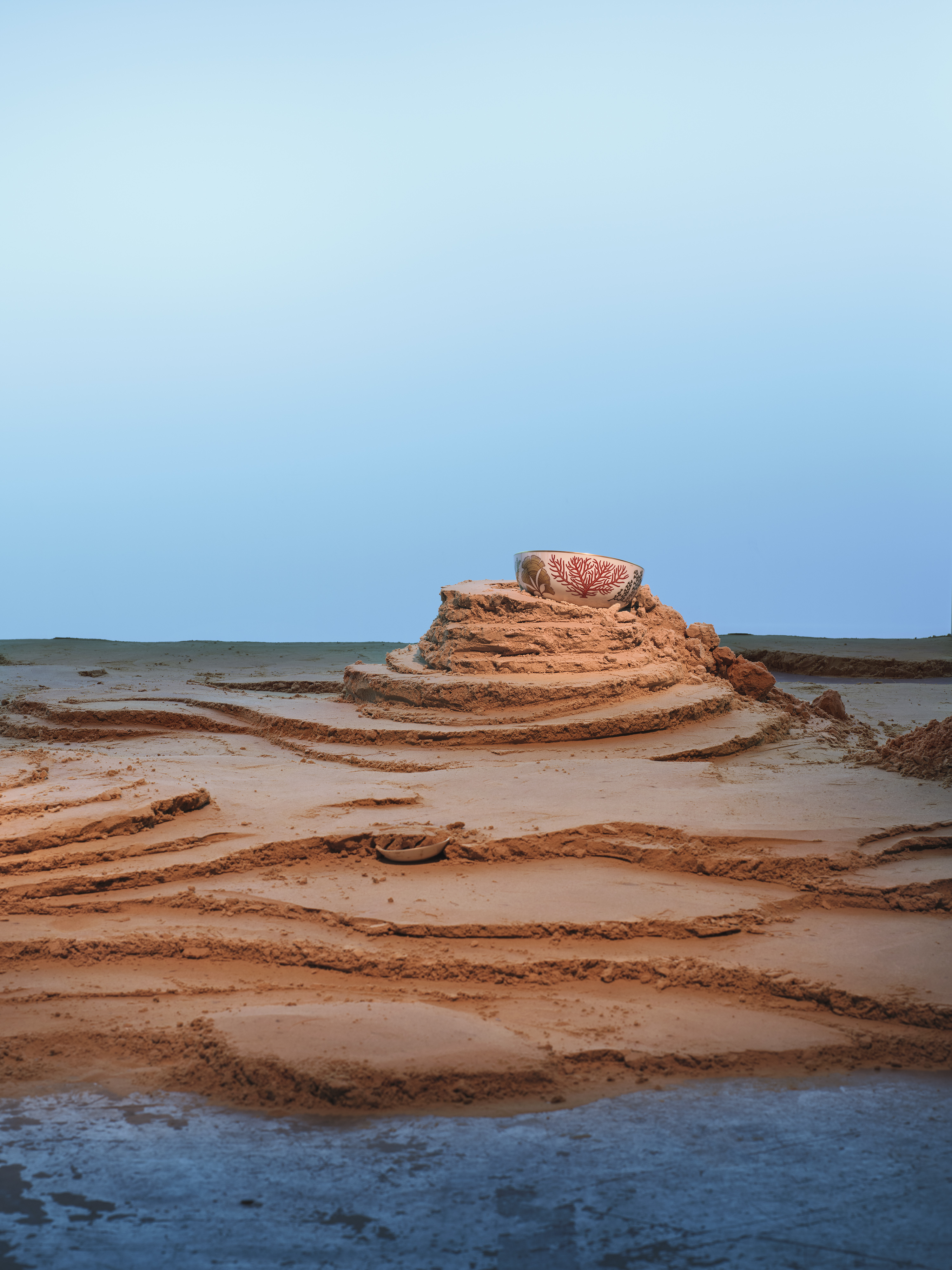 Hermes Tableware with botanical marine illustrations