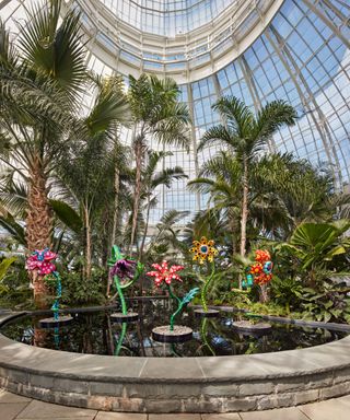 New York Botanical Garden, New York, Yayoi Kusama exhibition