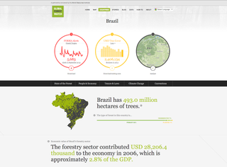 Brazilian forest loss and gain