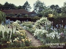 Gertrude Jekyll's garden at Munstead Wood - photographed in 1912 (©Country Life Picture Library)