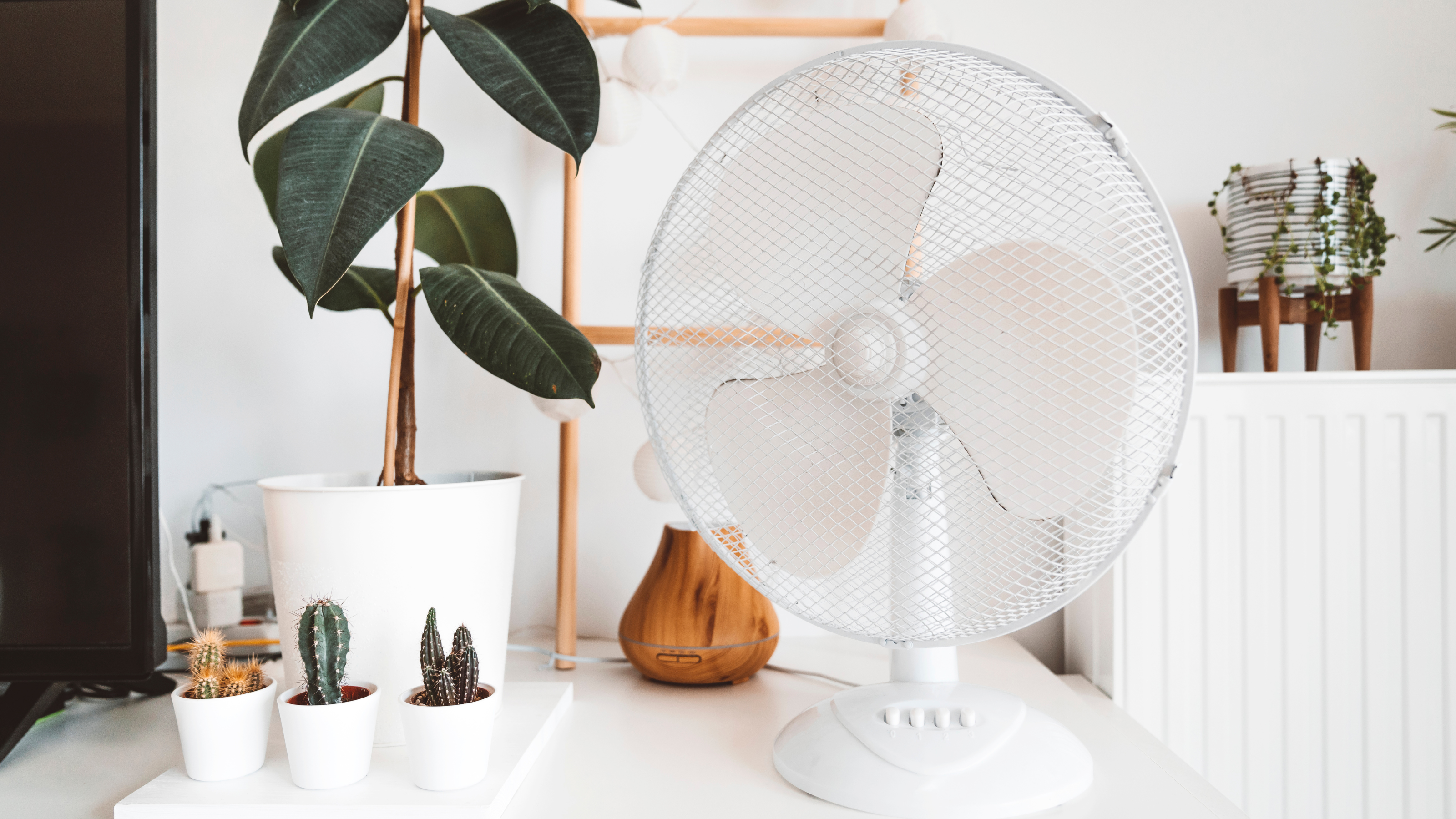White desk fan on a white desk fan with houseplant.