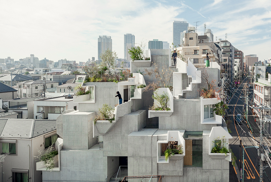 Tree-ness House, Akihisa Hirata Architecture Office, Tokyo, 2017.