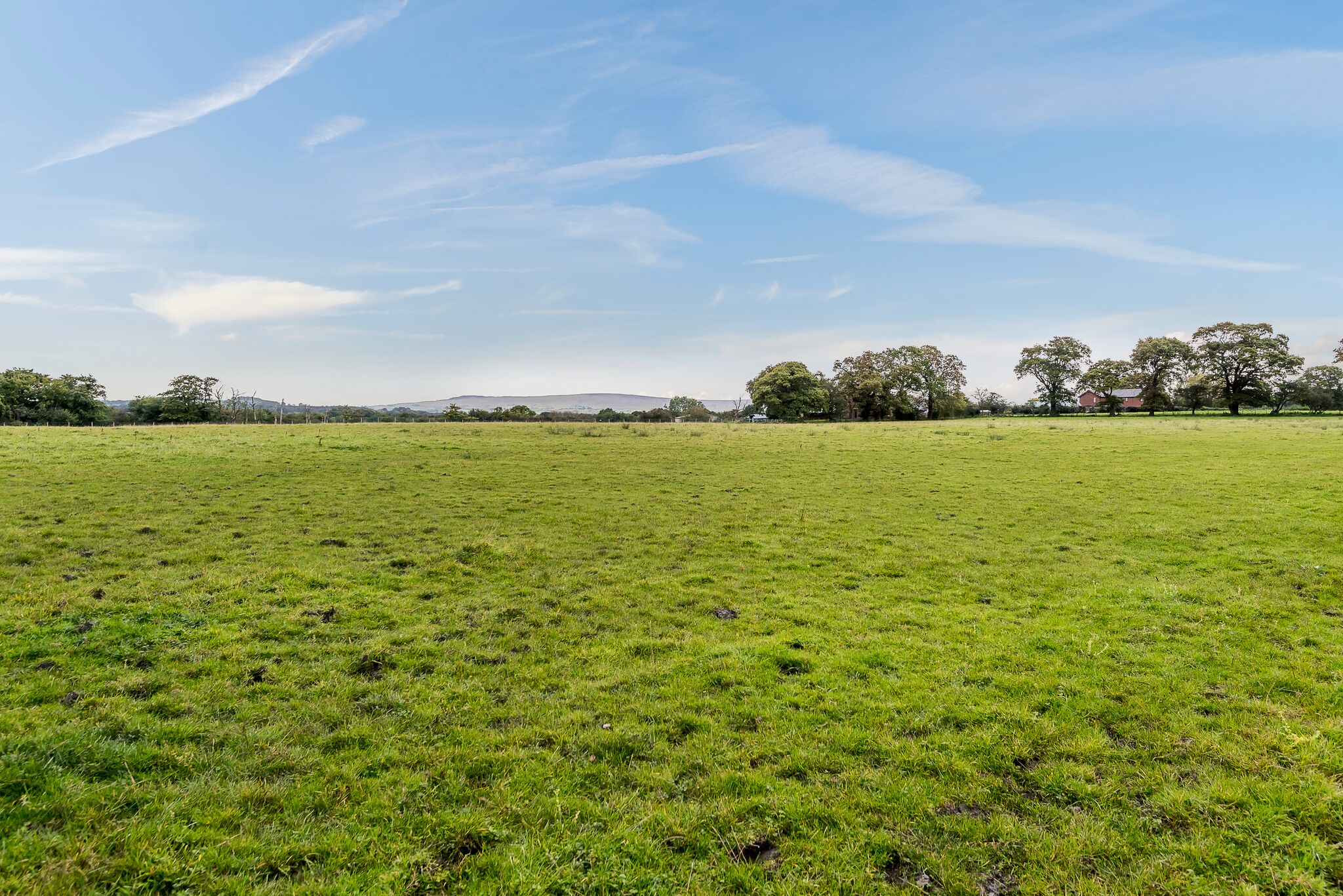 fields.jpg