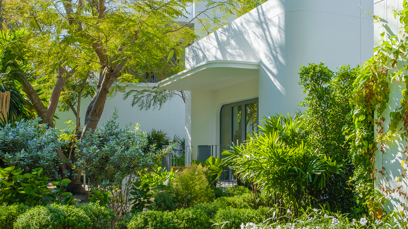 Shade tree in garden of modern house