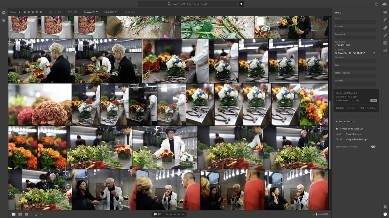 Photos are organized into Albums, and can be displayed as regular thumbnails or in a seamless tiled Photo Grid view