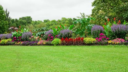 green lawn in front of a flowerbed