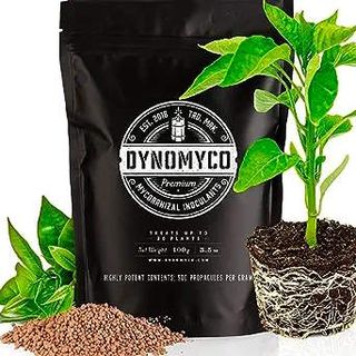 Mycorrhizal Inoculant by DYNOMYCO