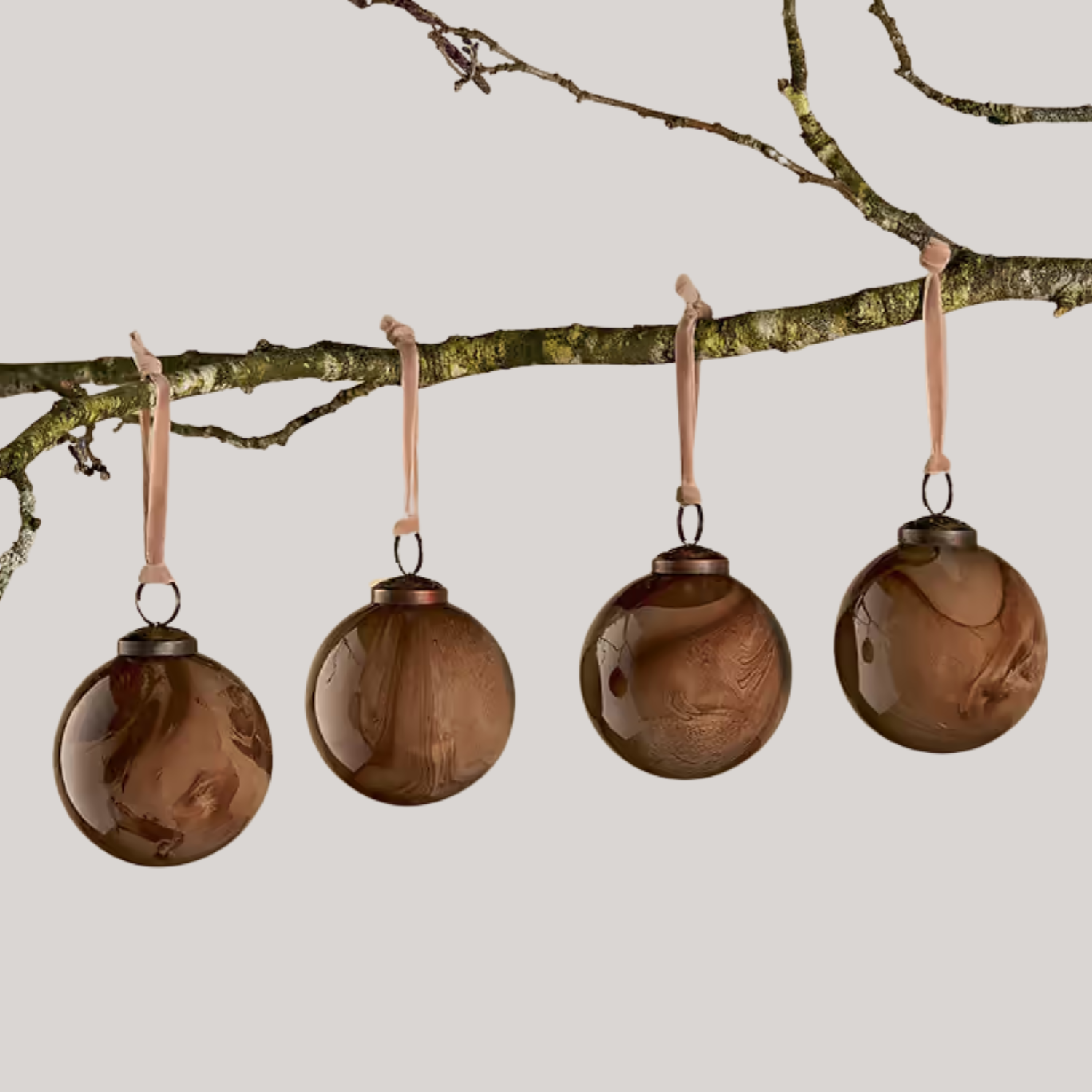 A branch of brown baubles