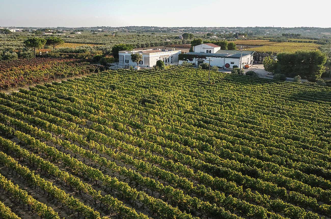 Puglia wine estate for sale