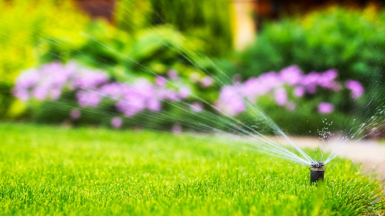 Lush green lawn in summer being watered by sprinkler