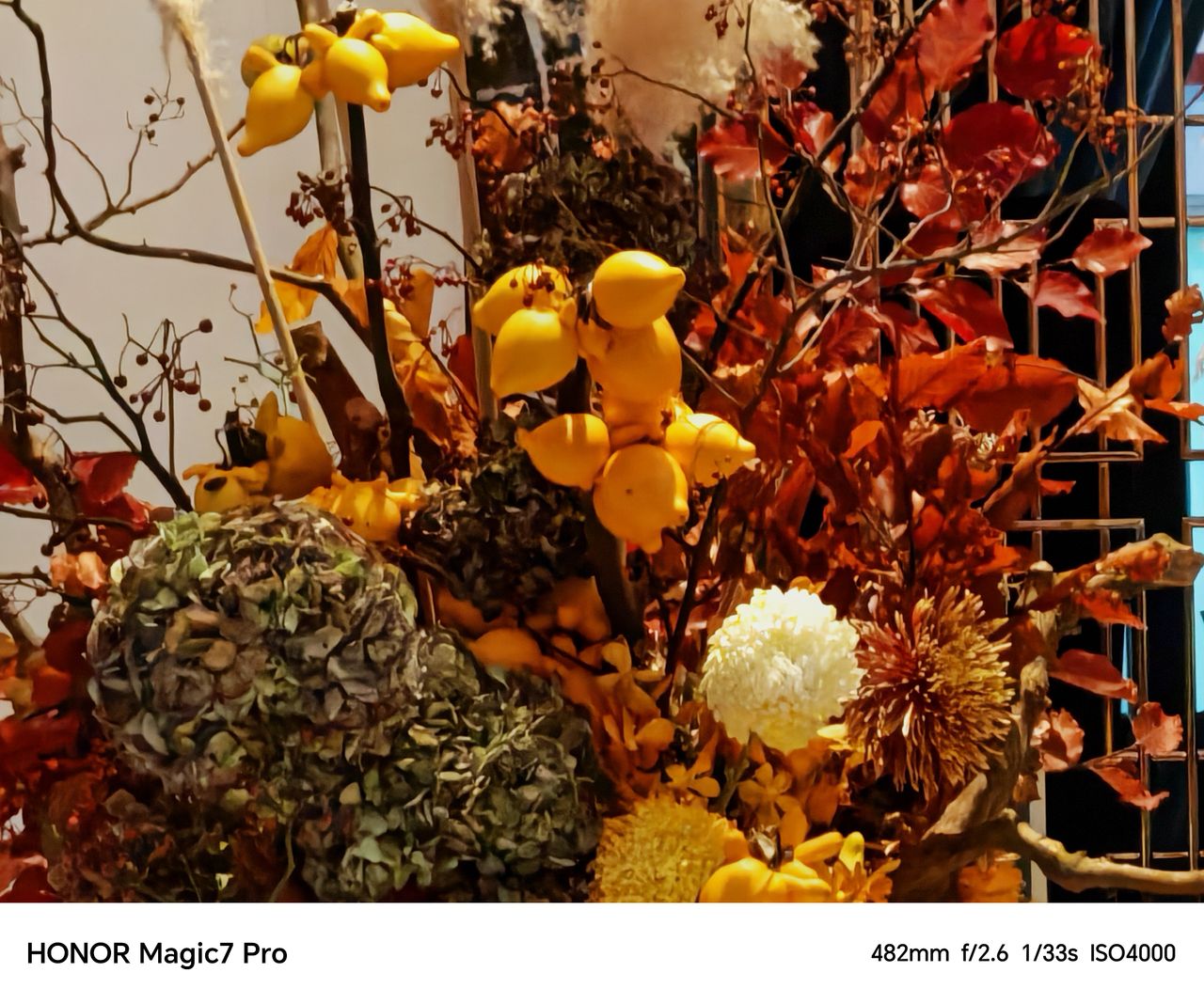 A photo captured on a Chinese Honor Magic 7 Pro