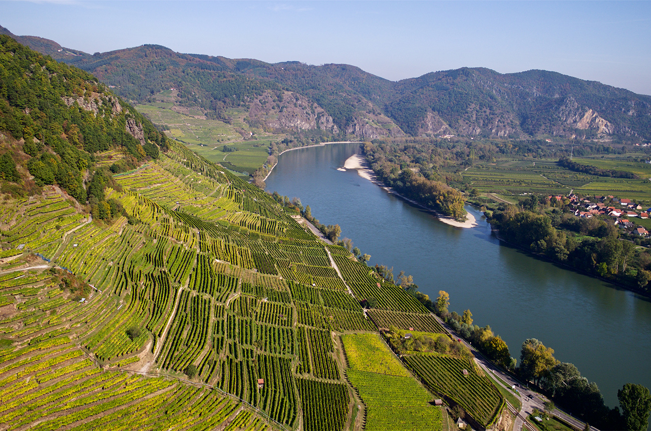 Domane-Wachau_Achleiten_(c)Domane-Wachau