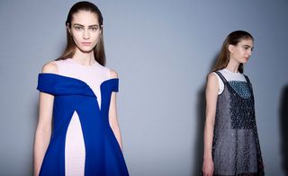 Christian Dior Womenswear Collection 2014