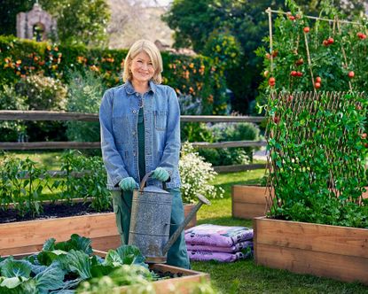 Detailed Martha Stewart Gardening Advice Scene Collection Detailed Martha Stewart Gardening Advice Scene Collection