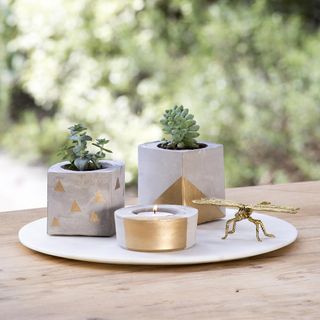 scented candle with potted plant and wooden table