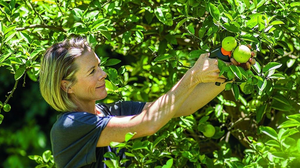 10 essential home maintenance jobs for spring Real Homes