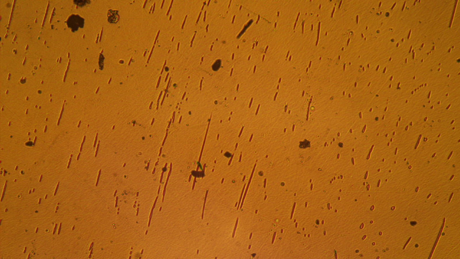 A tan background with streaks and dots of black on it. 