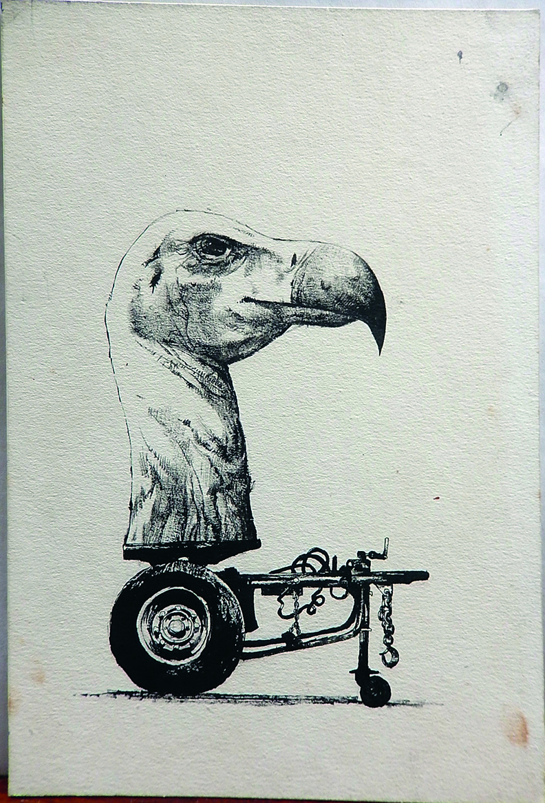 Absurd art; a vulture head on a trailer
