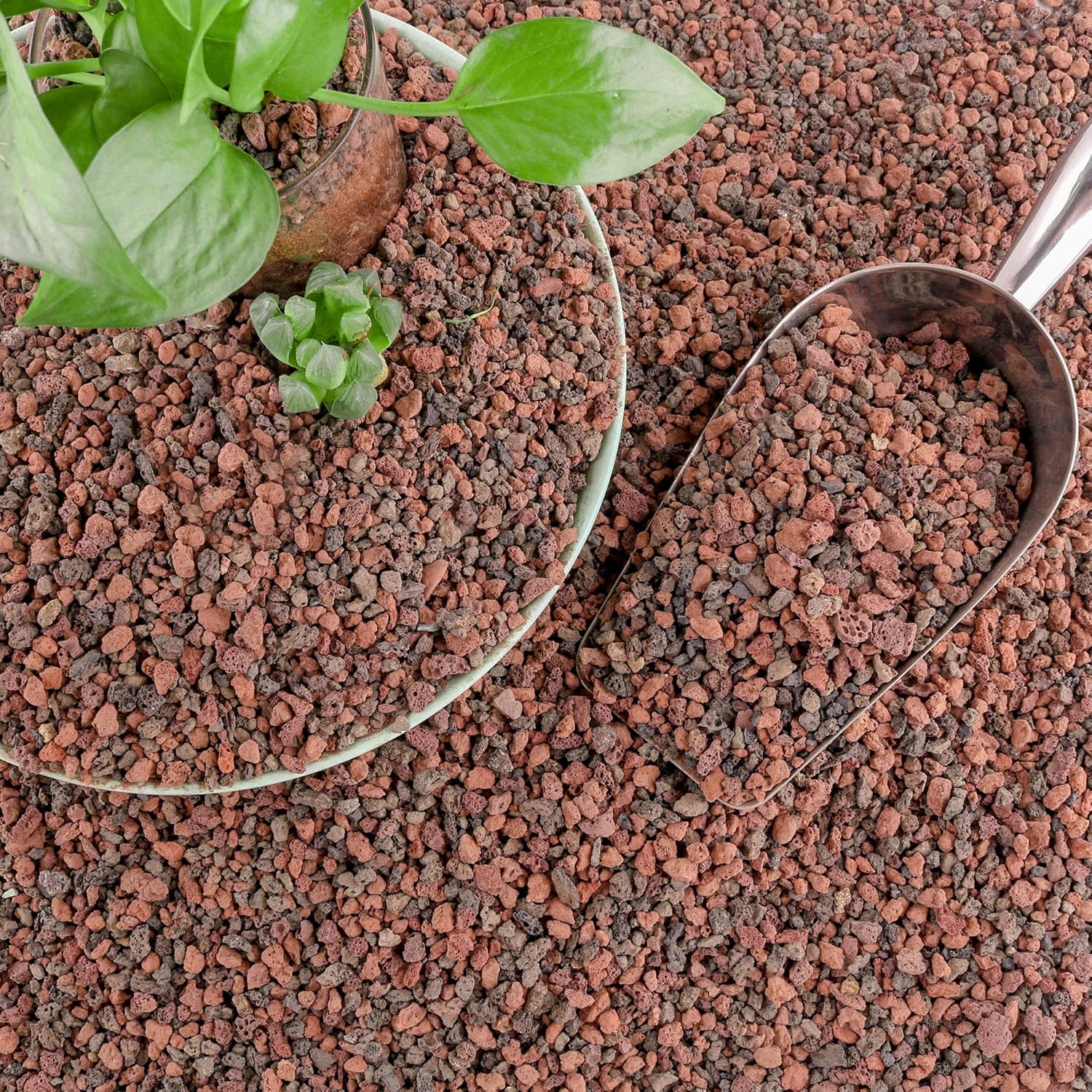 Cjgq 18lb Mix Lava Rocks for Plants - Horticultural Volcanic Rock Gravel for Landscaping, Succulents, Bonsai, Vase Fillers, Terrarium Plants, Top Dressing