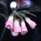 4D3AE249-5892-45E1-9F64-0E54A0A0B10D.jpg