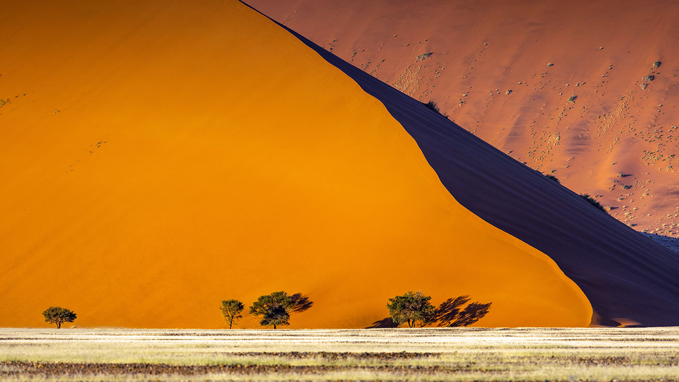 Skeleton Coast safari a life affirming desert adventure in