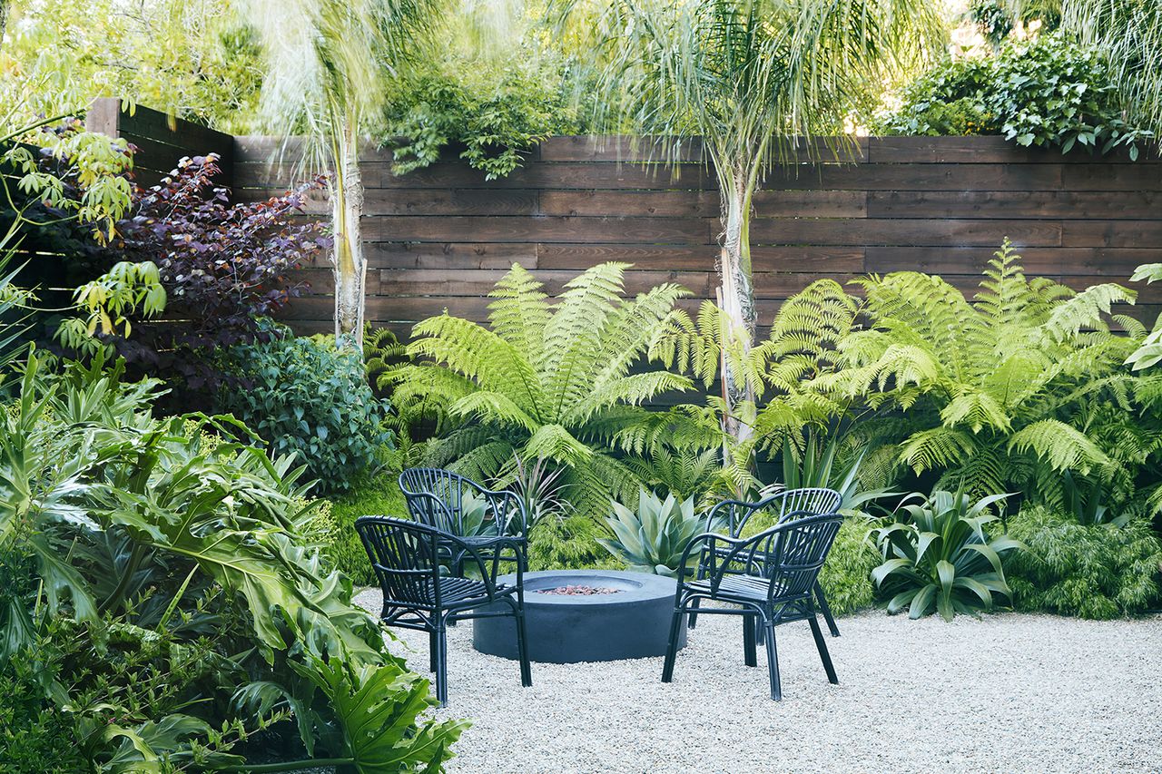 lush tropical backyard with palm trees for privacy and modern seating