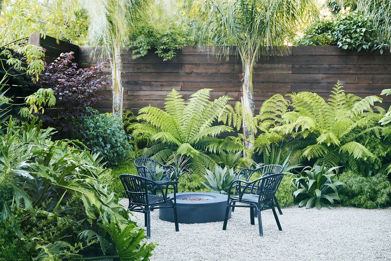 3 best plants to grow under palm trees for a lush backyard Livingetc