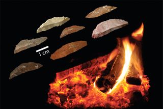 early human tools discovery in South Africa.